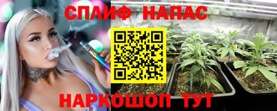 индика Ижевск