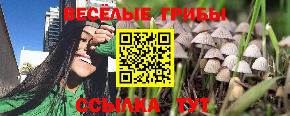 Псилоцибиновые грибы мицелий  Вход с VPN  купить  цена  Ейск 